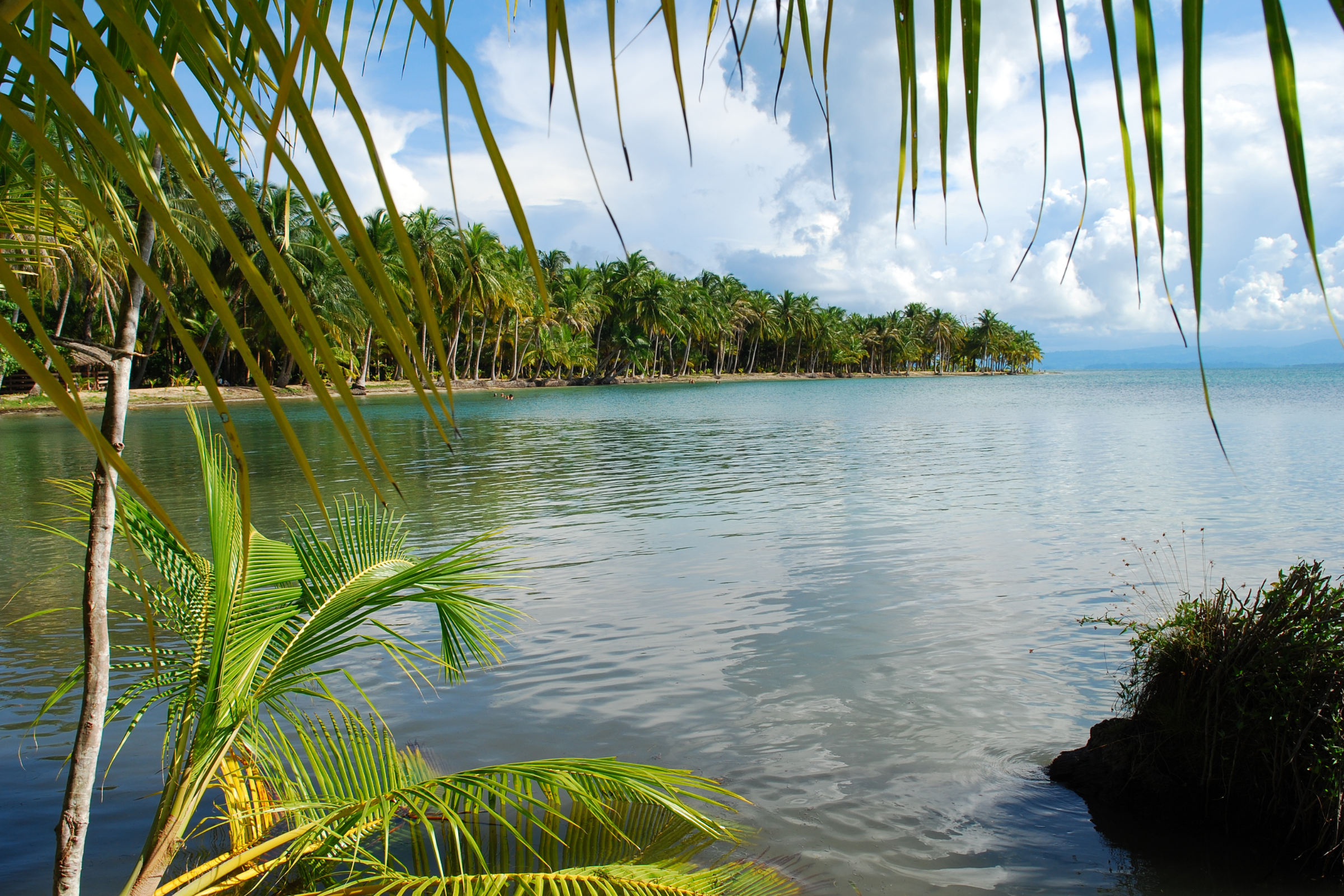 34 isla iguana.webp